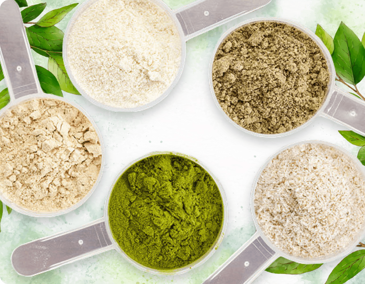 Natural supplement powders and leaves used to represent oral wellness ingredients